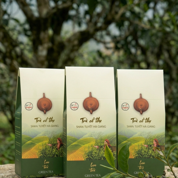 trà xanh chién hảo